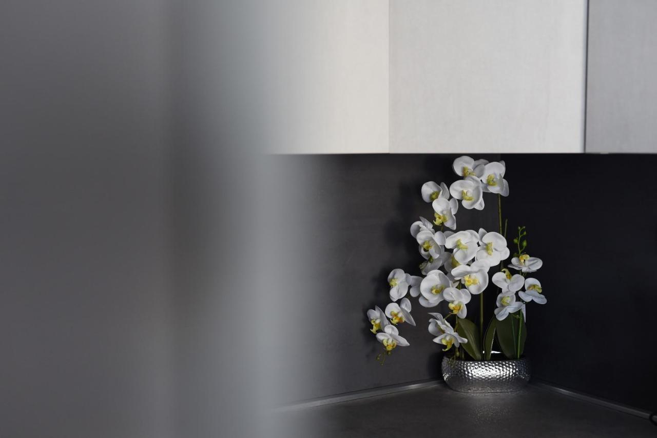 Apartman Niko Zára Kültér fotó
